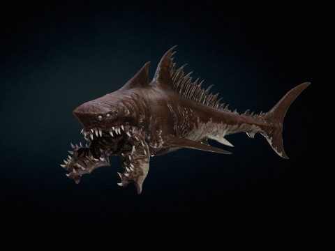 Shark 3Dモデル