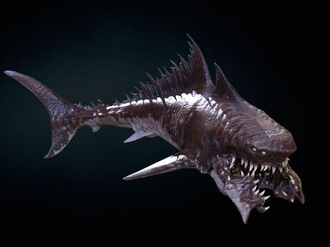 Shark 3Dモデル