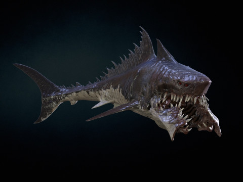 Shark 3Dモデル