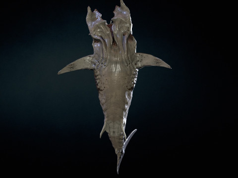 Shark 3Dモデル