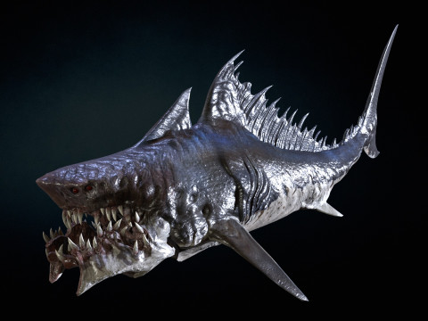 Shark 3Dモデル