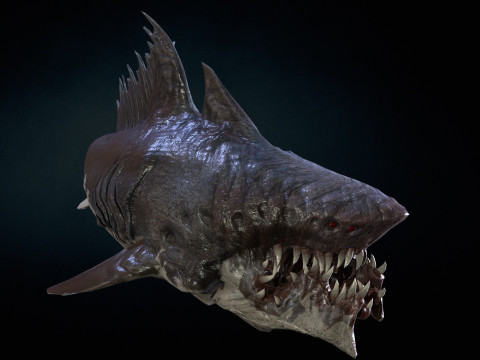 Shark 3Dモデル
