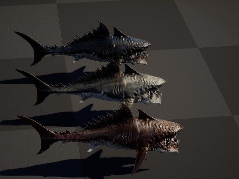 Shark 3Dモデル