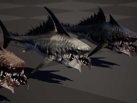 Shark 3Dモデル