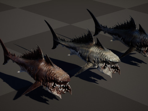 Shark 3Dモデル