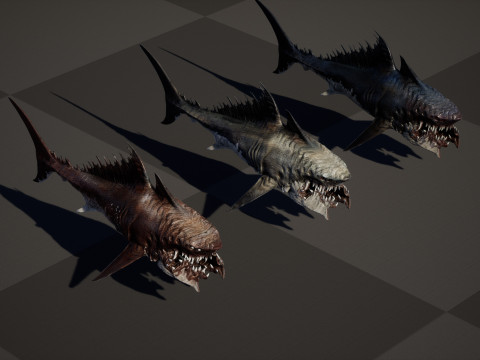 Shark 3Dモデル
