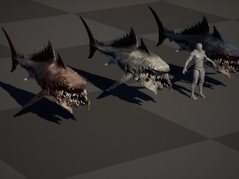 Shark 3Dモデル