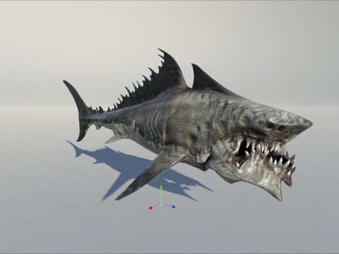Shark 3Dモデル