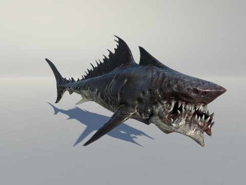 Shark 3Dモデル