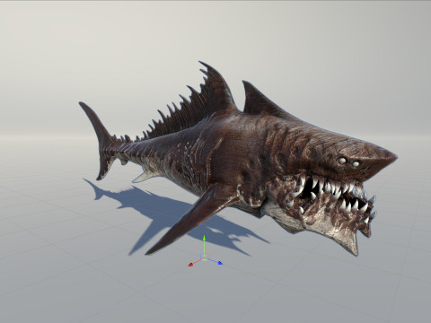 Shark 3Dモデル