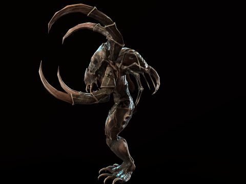Meduse Gar 3D Model
