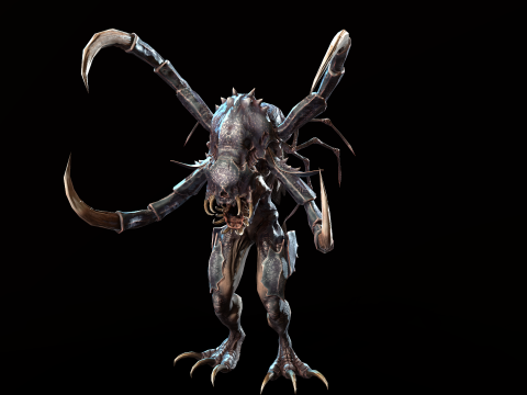 Meduse Gar 3D Model