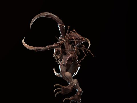 Meduse Gar 3D Model