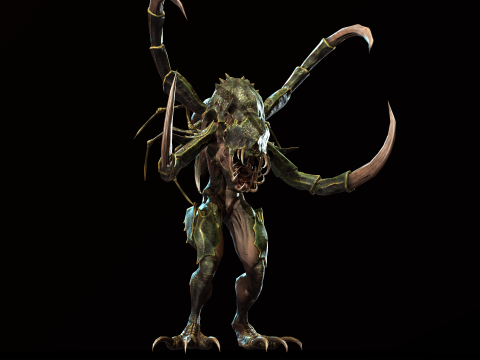 Meduse Gar 3D Model