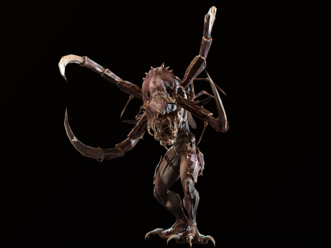 Meduse Gar 3D Model