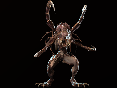 Meduse Gar 3D Model