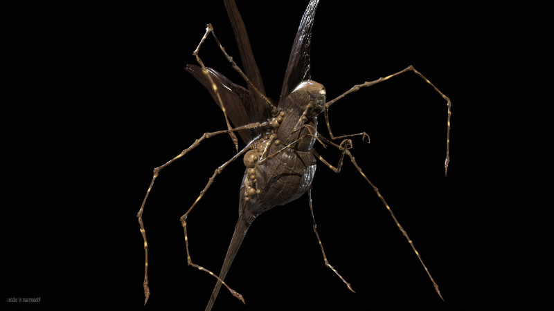 LandBug5 A1 3D Модель .c4d .max .obj .3ds .fbx .stl .blend 