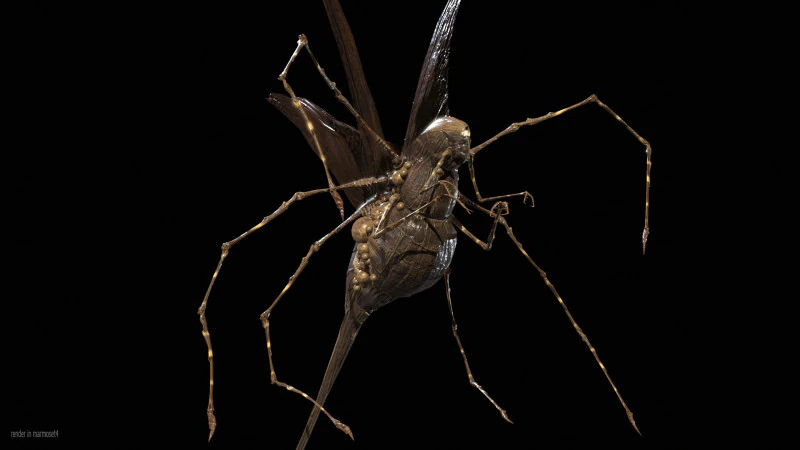 LandBug5 A1 3D Model .c4d .max .obj .3ds .fbx .stl .blend 