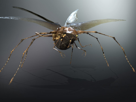LandBug5 A1 3D Модель