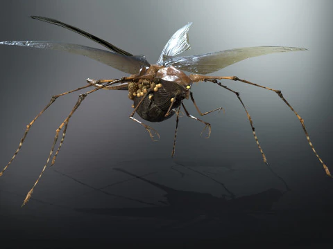 LandBug5 A1 3D Model