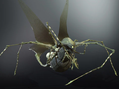 LandBug5 A1 3D Model