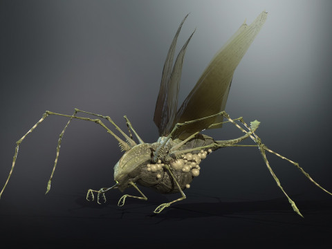 LandBug5 A1 3D Модель