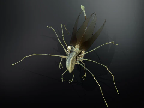LandBug5 A1 3D Model