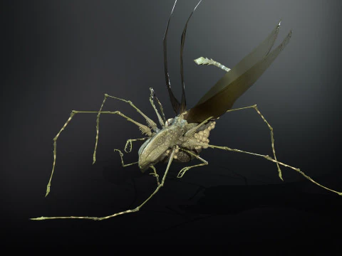 LandBug5 A1 3D Model
