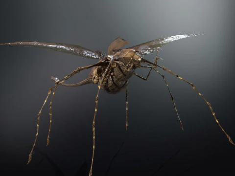 LandBug5 A1 3D Model