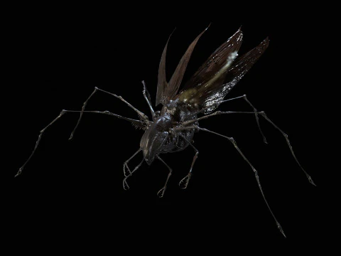 LandBug5 A1 3D Model