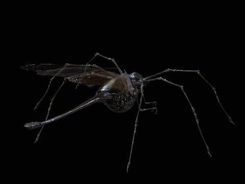 LandBug5 A1 3D Model