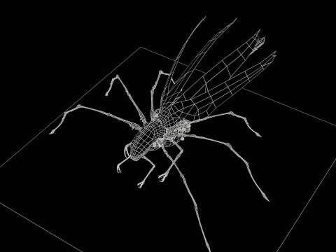 LandBug5 A1 3D Model