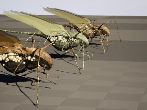 LandBug5 A1 3D Model