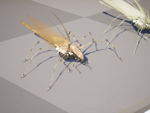 LandBug5 A1 3D Модель