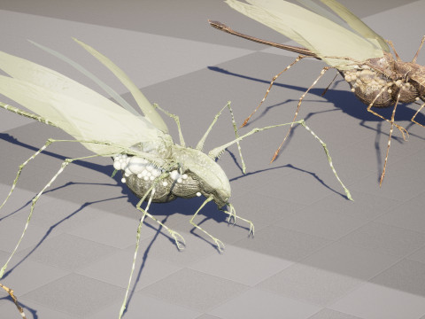 LandBug5 A1 3D Модель
