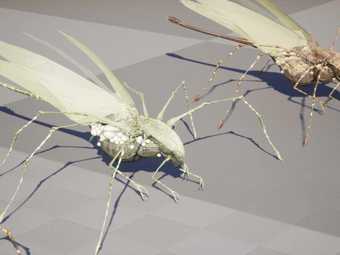 LandBug5 A1 3D Model