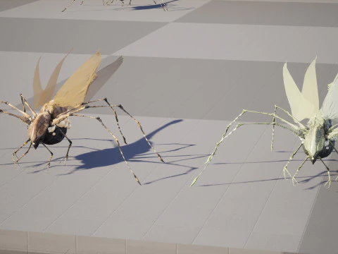 LandBug5 A1 3D Model