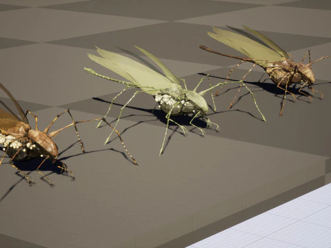 LandBug5 A1 3D Model