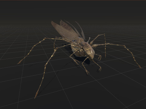 LandBug5 A1 3D Модель