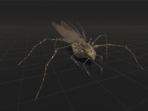 LandBug5 A1 3D Model
