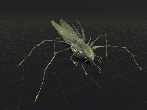 LandBug5 A1 3D Модель