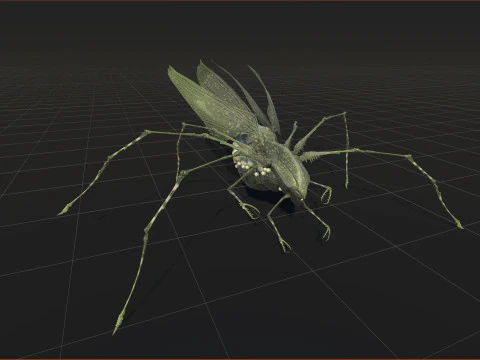 LandBug5 A1 3D Model