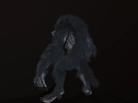 Werewolf 3D Model