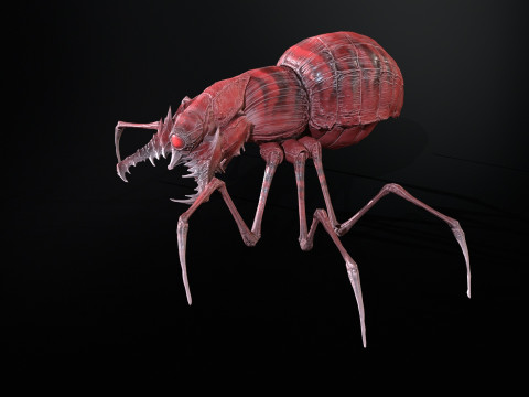 Skorobey Model 3D