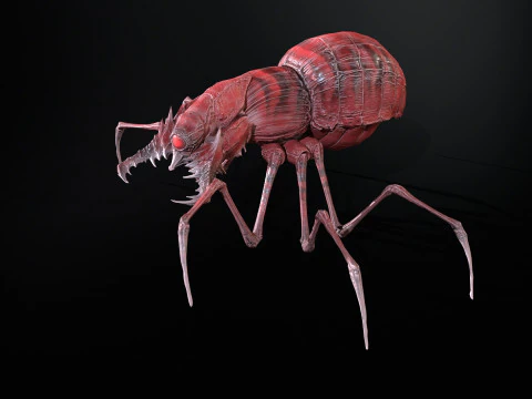 Skorobey 3D Model