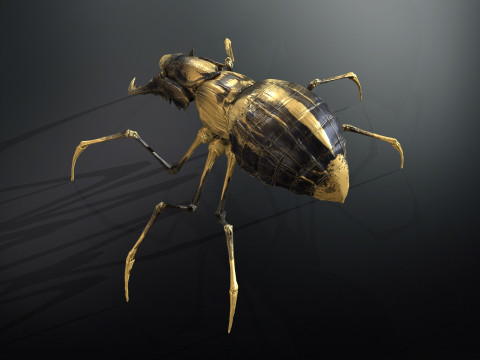 Skorobey Model 3D