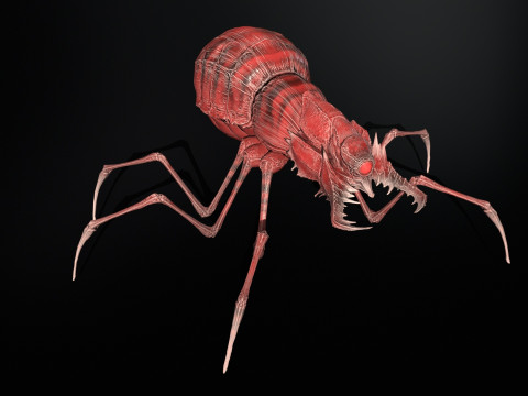 Skorobey Model 3D