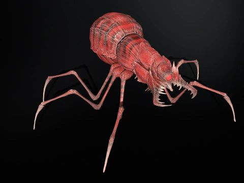 Skorobey 3D Model