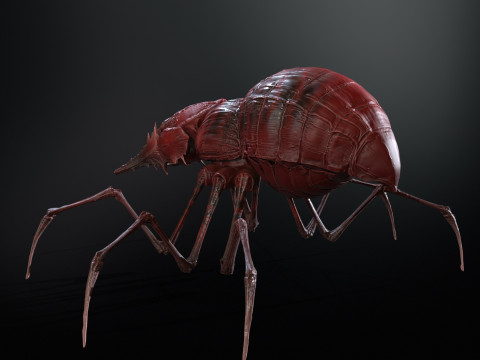 Skorobey Model 3D