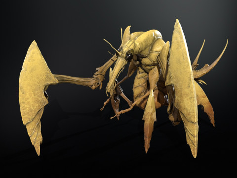Bogomol 3Dモデル